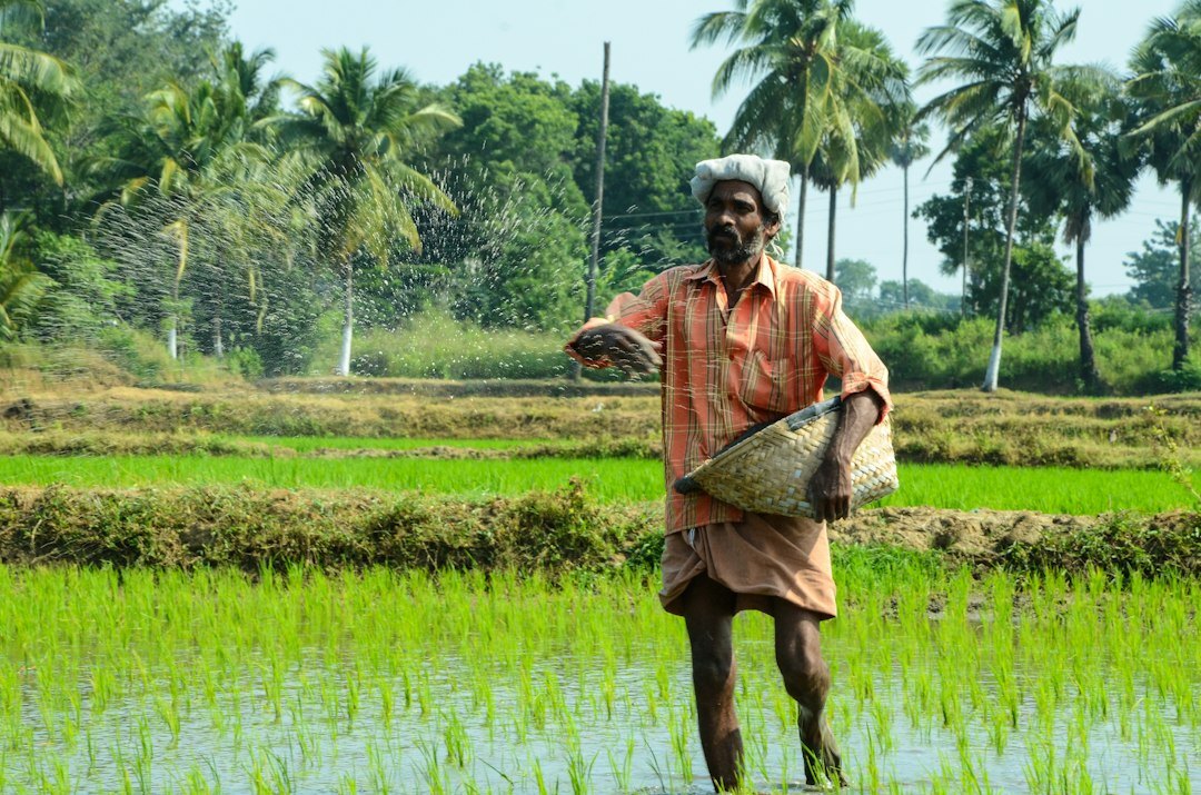 farmer working field