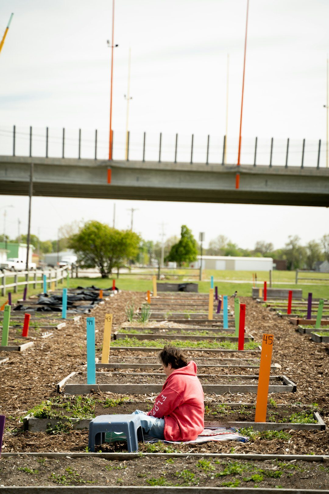 woman gardening in community plot